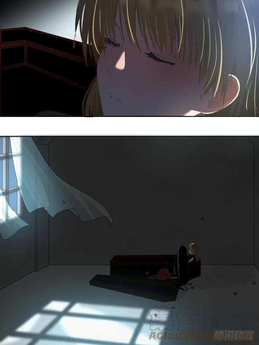 黑背信天翁32能先让你缓缓