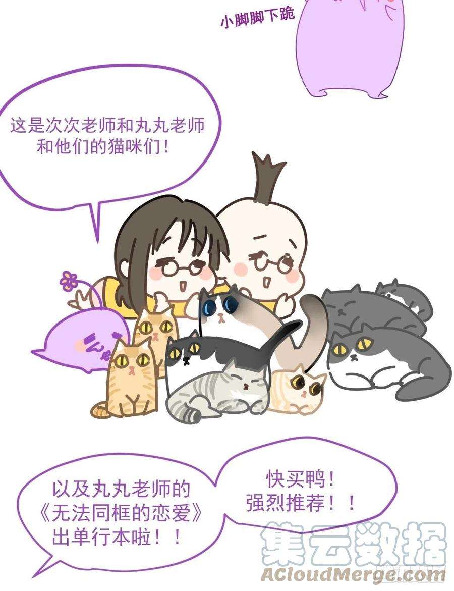 黑背信天翁32能先让你缓缓