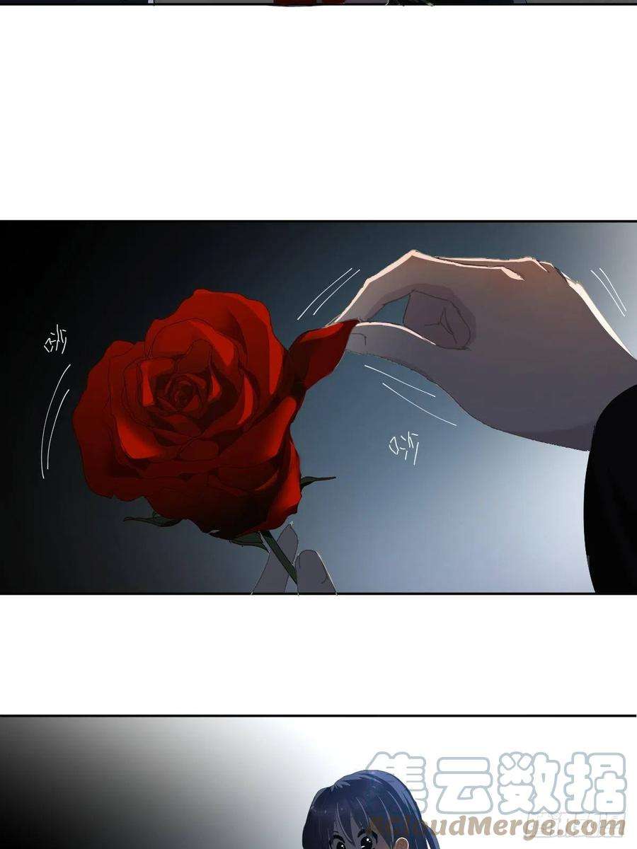 黑背信天翁32能先让你缓缓