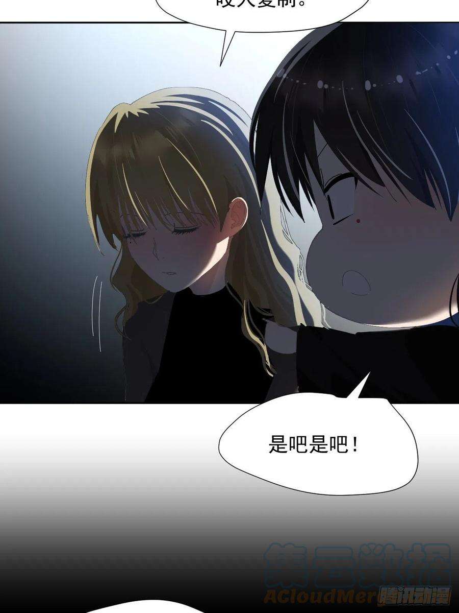 黑背信天翁哪有这种好事