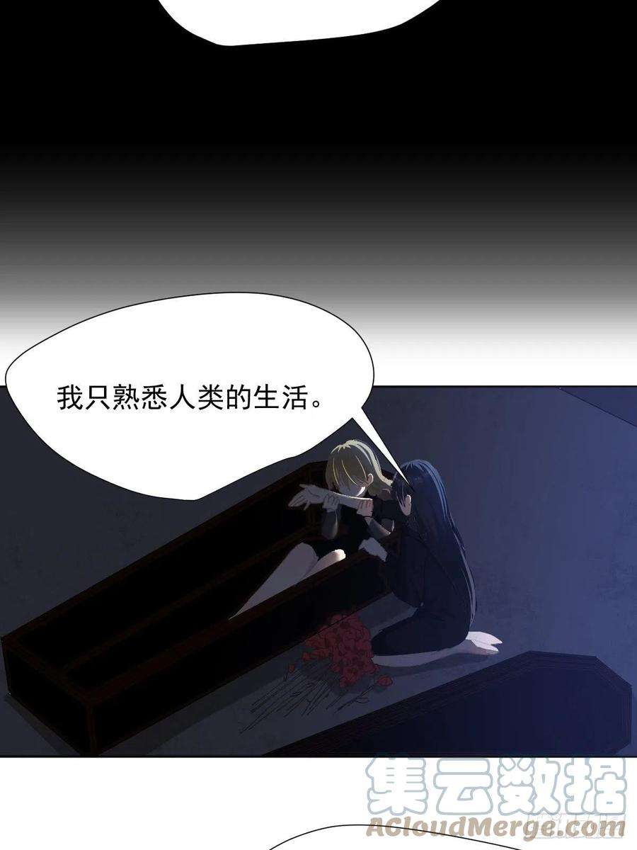 黑背信天翁哪有这种好事