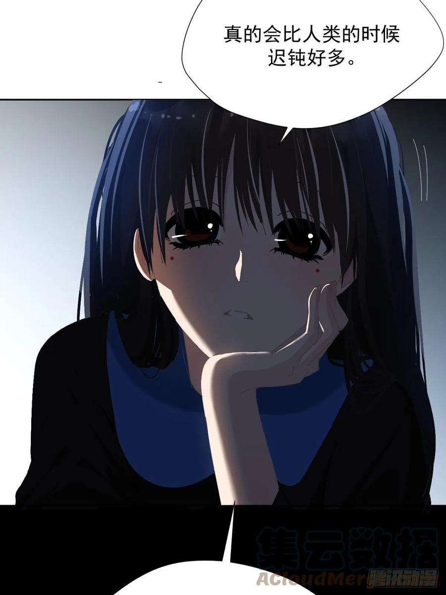 黑背信天翁哪有这种好事