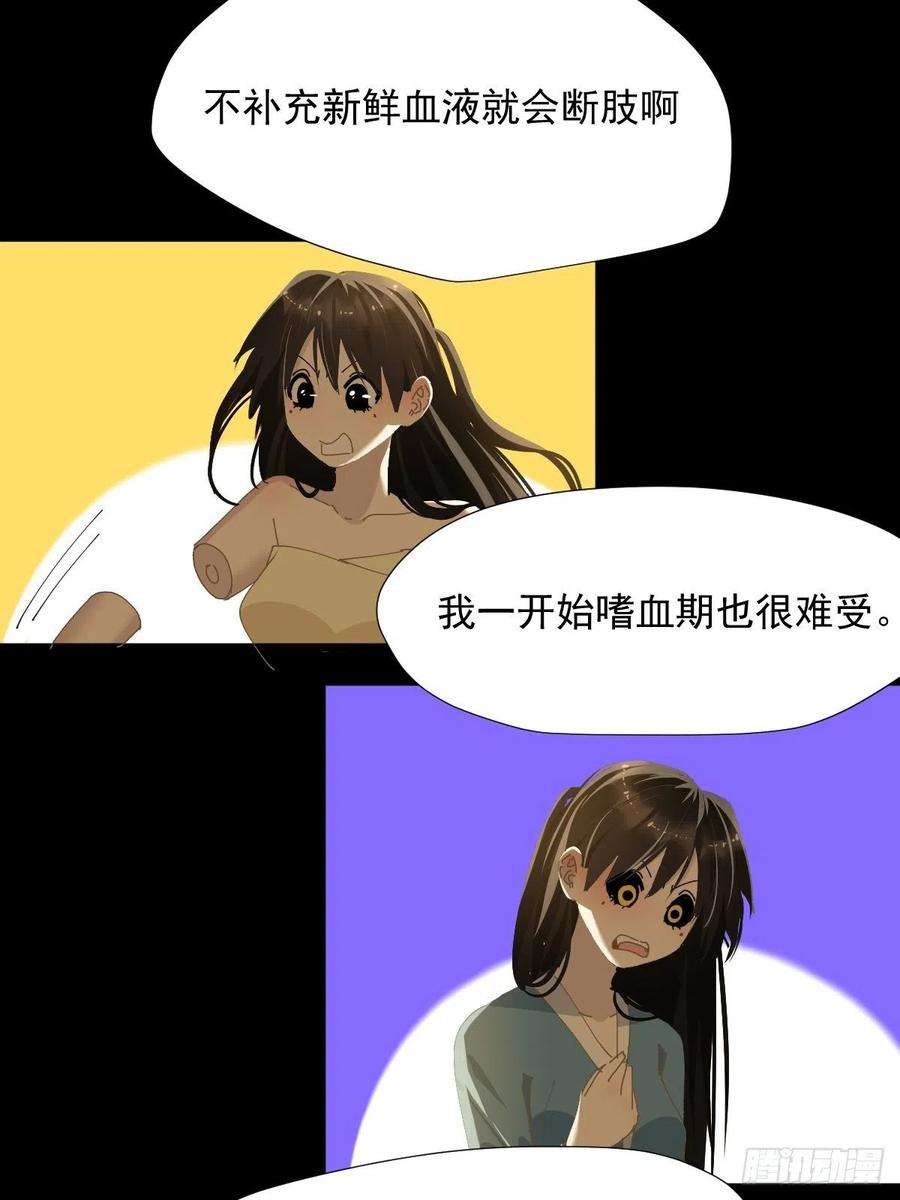 黑背信天翁哪有这种好事