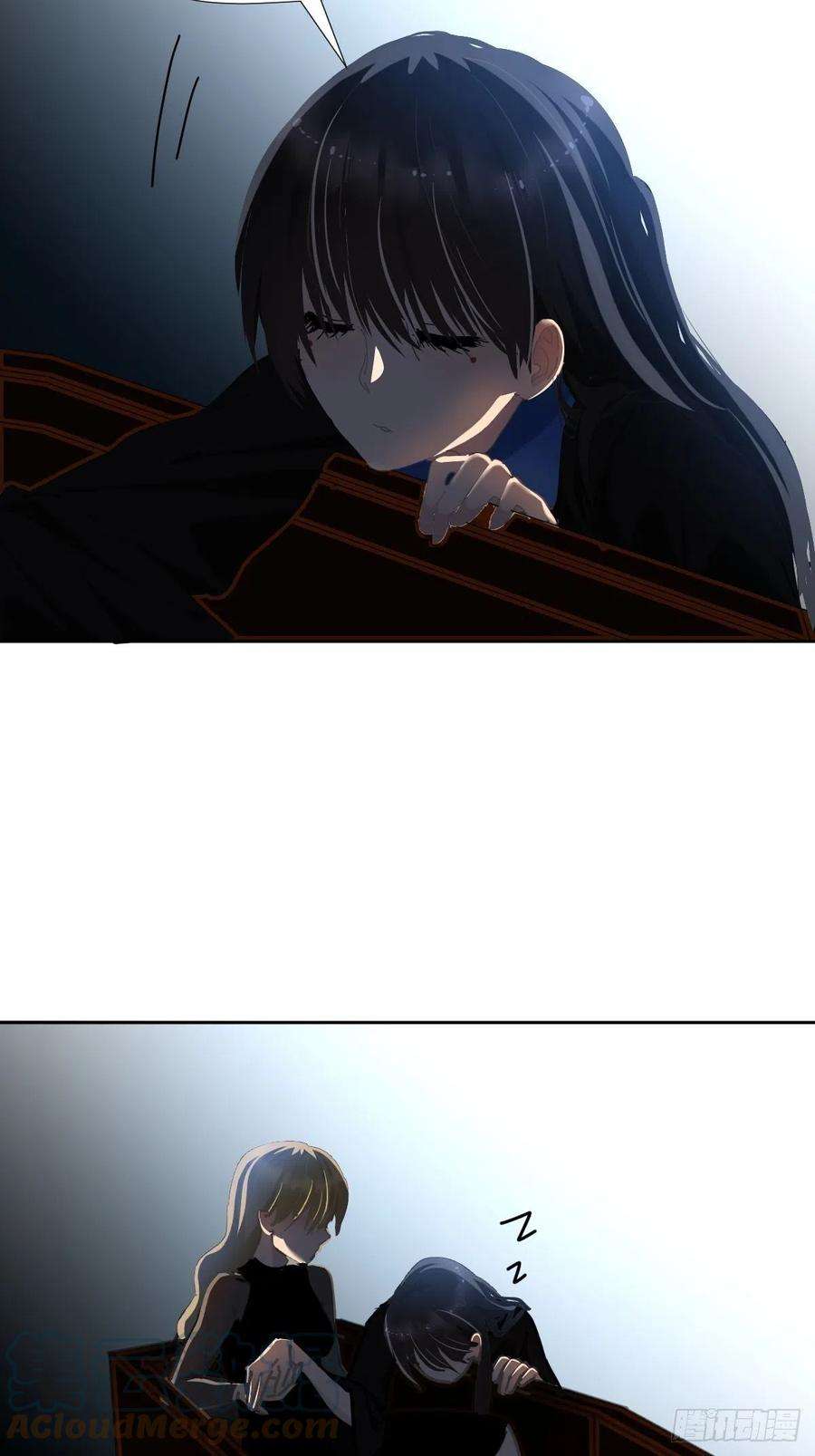 黑背信天翁哪有这种好事