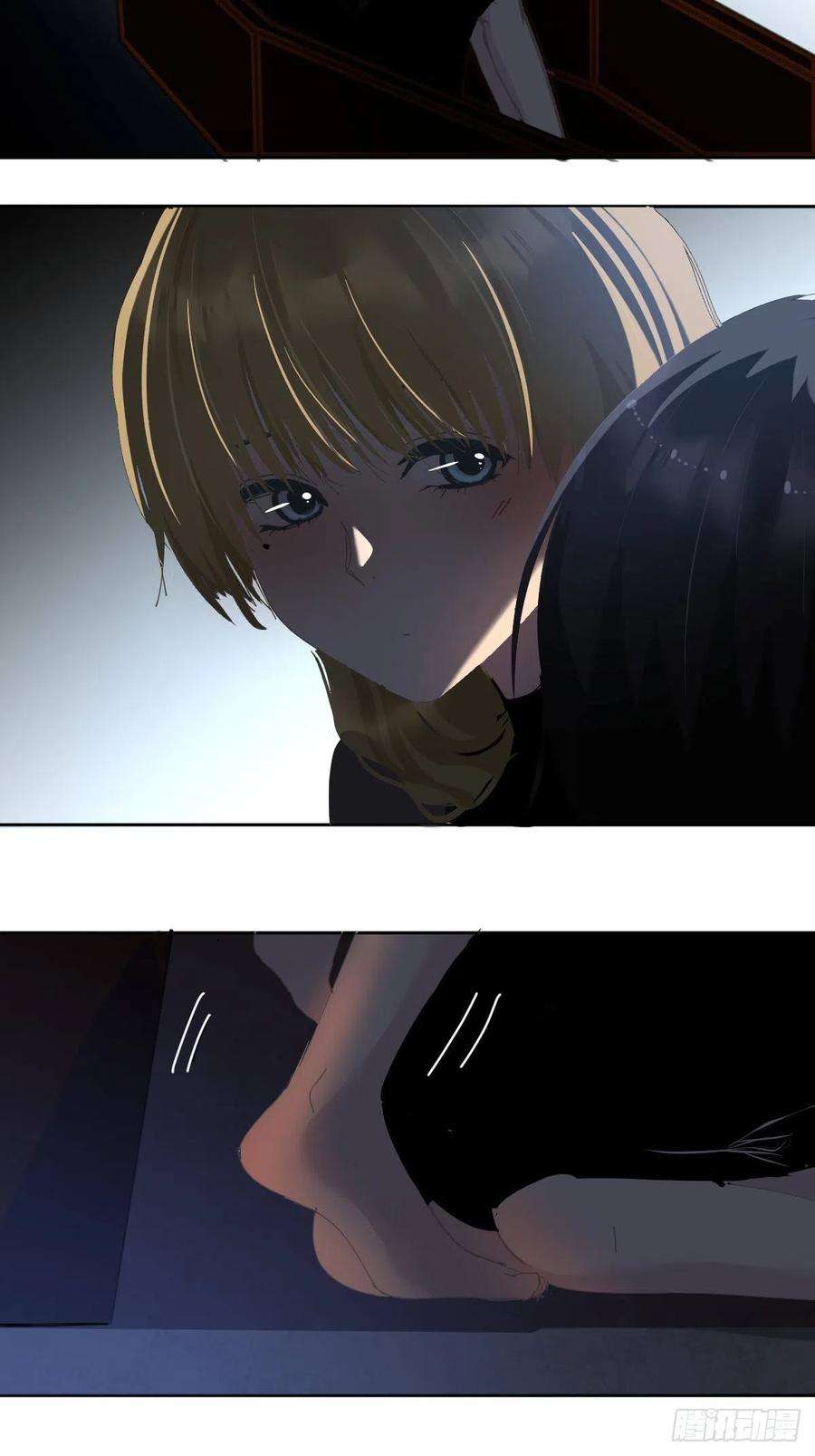 黑背信天翁哪有这种好事