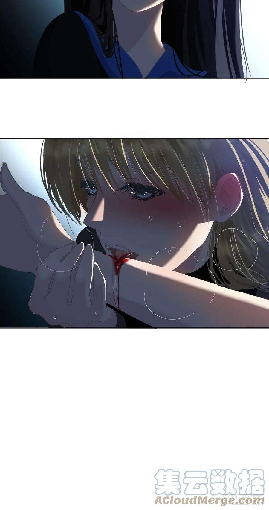 黑背信天翁哪有这种好事