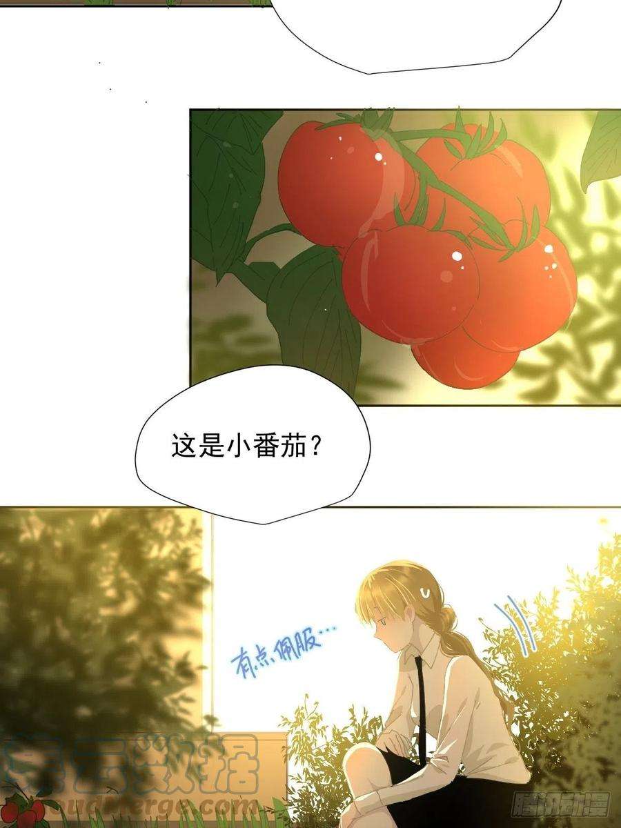 黑背信天翁41已经到处是她的痕迹