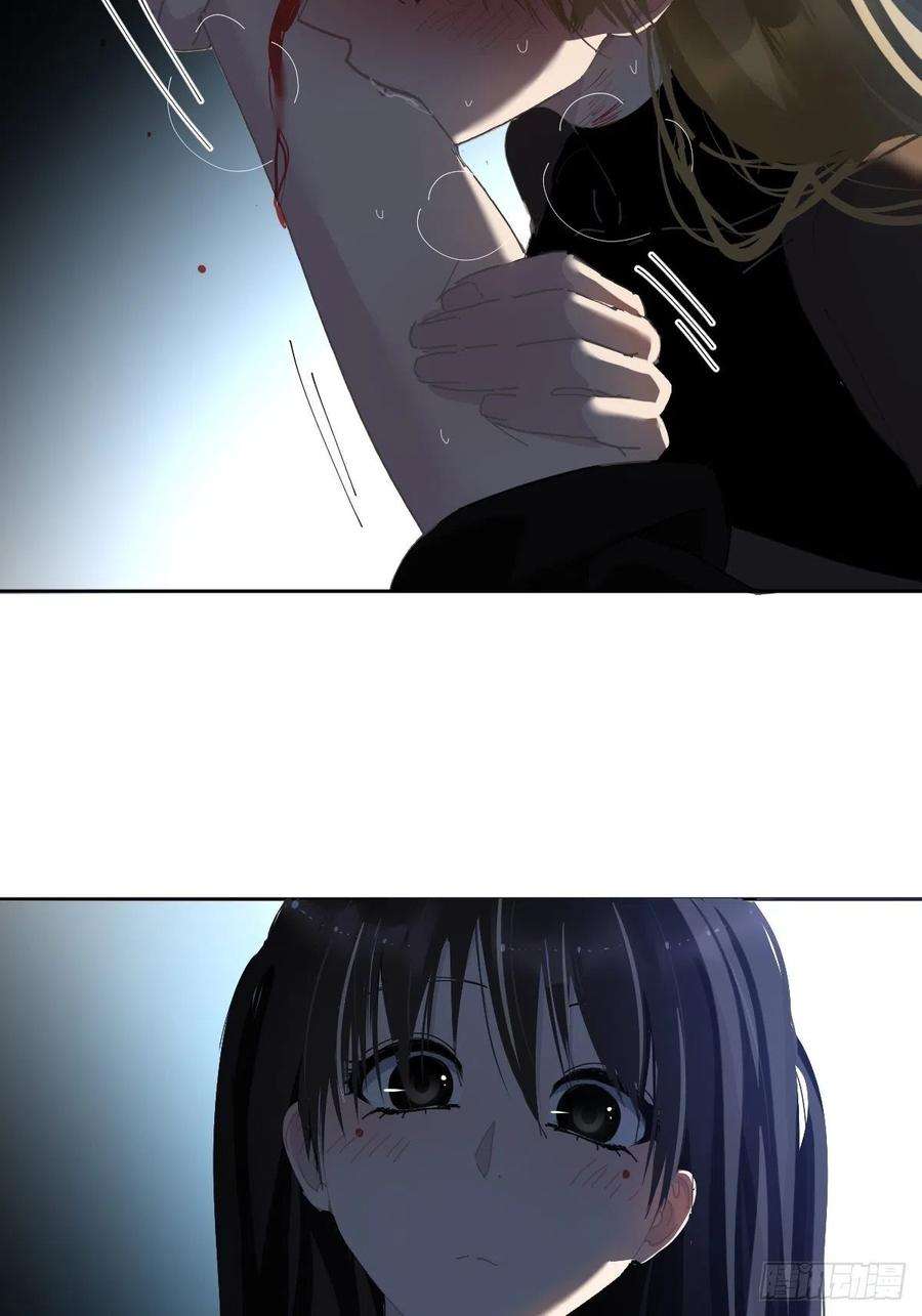 黑背信天翁33哪有这种好事