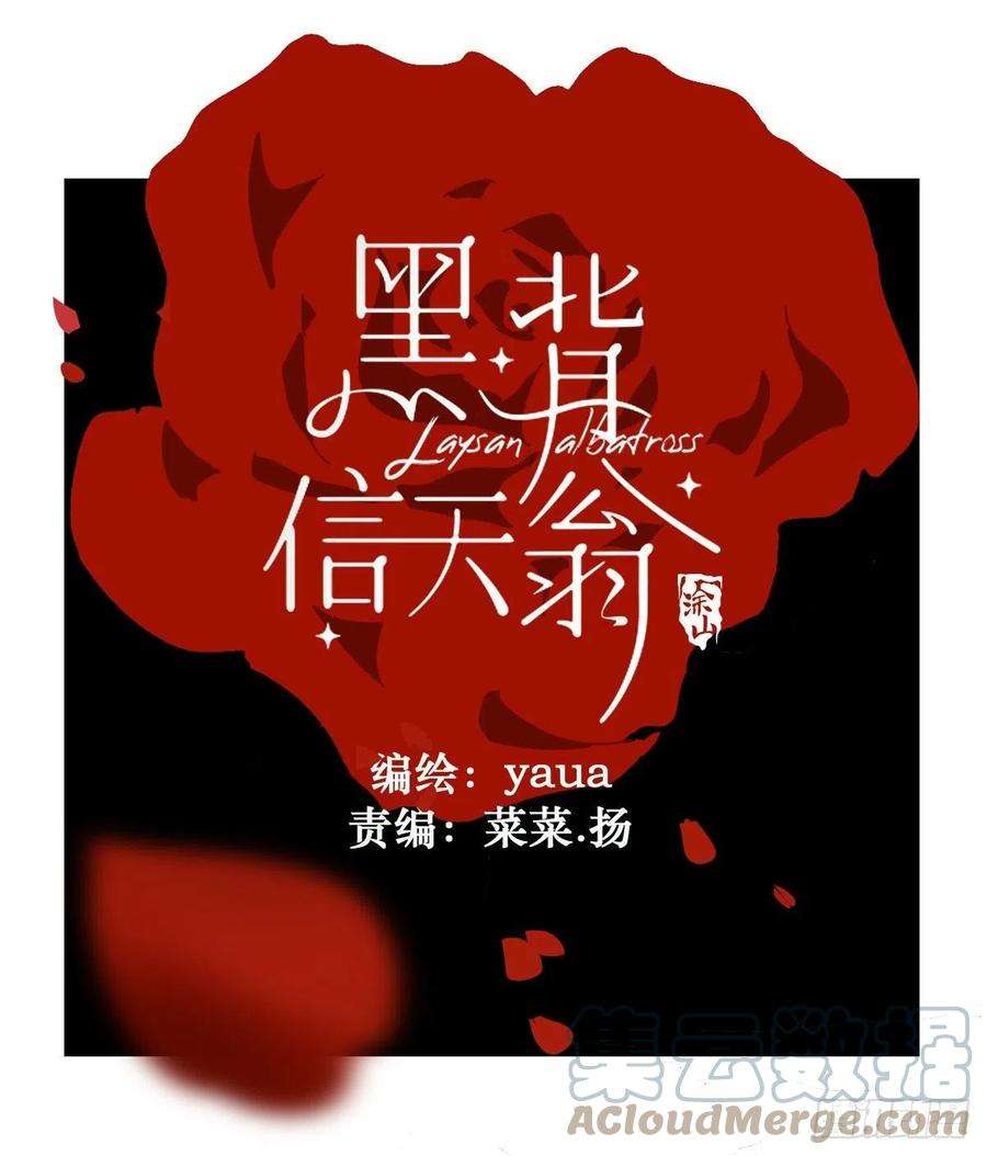 黑背信天翁35虽然可爱