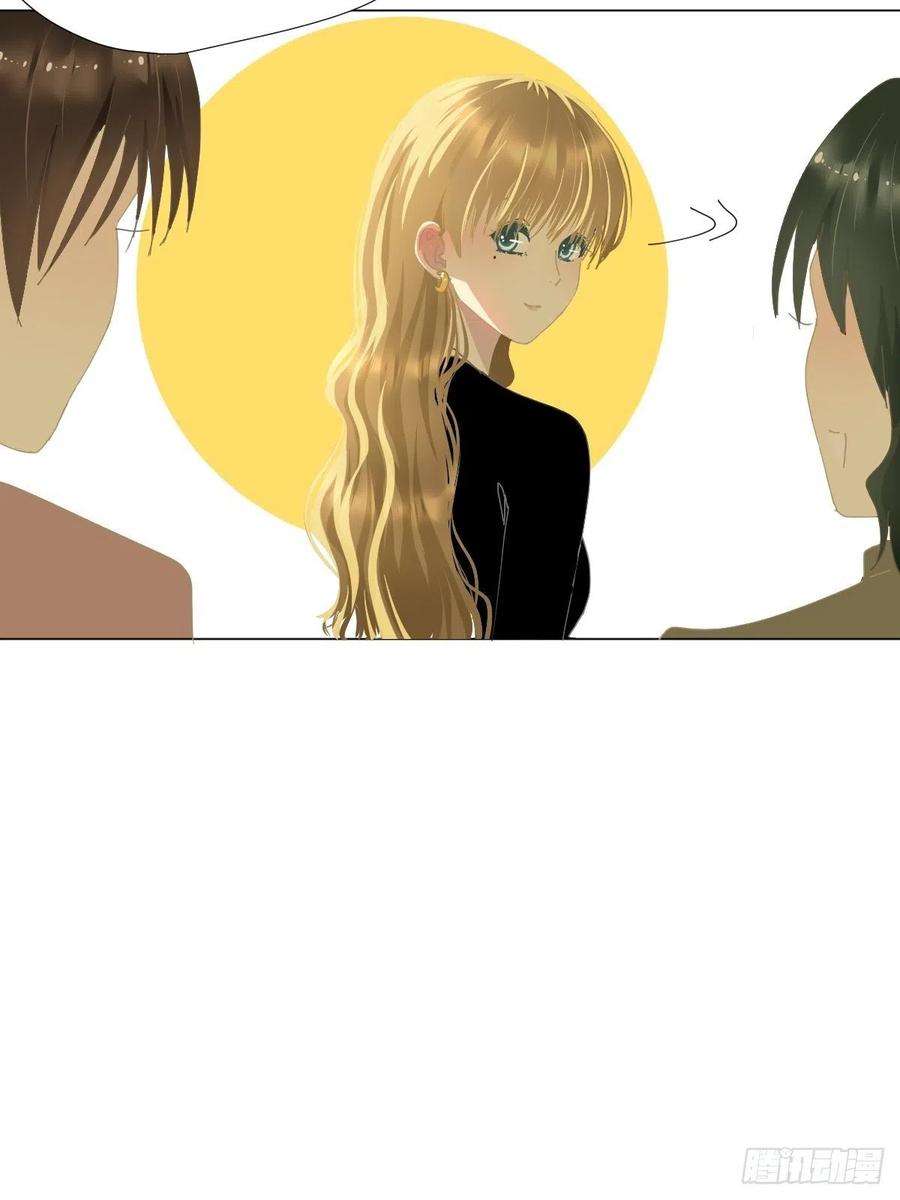 黑背信天翁35虽然可爱