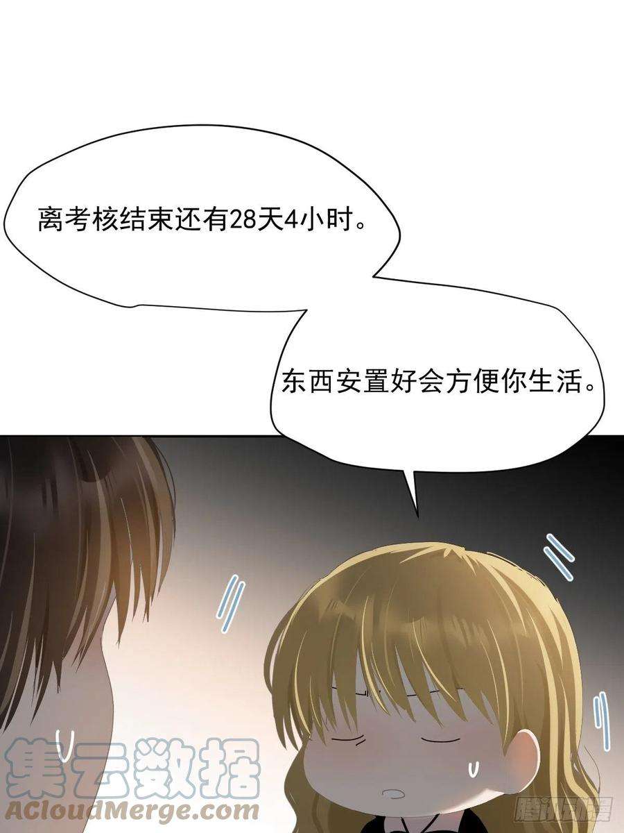 黑背信天翁39.随你布置