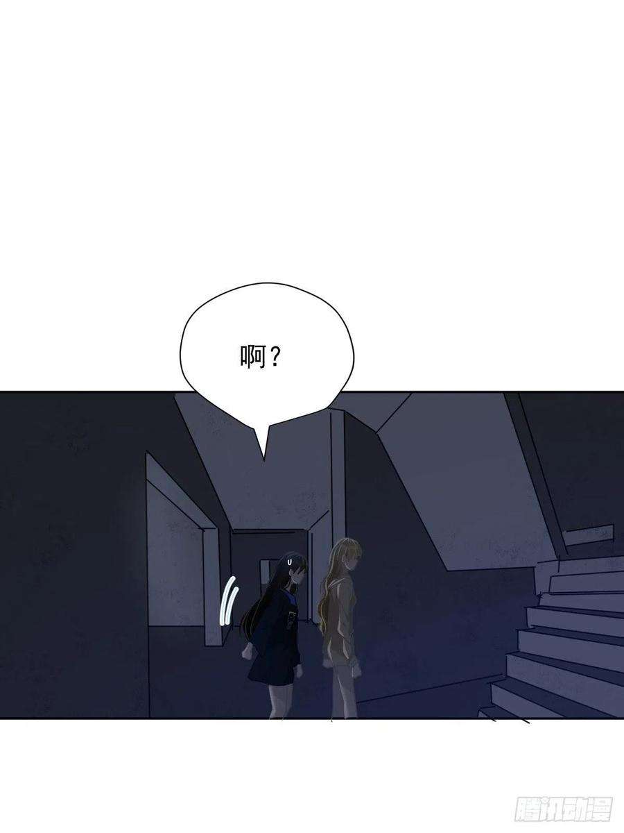 黑背信天翁39.随你布置