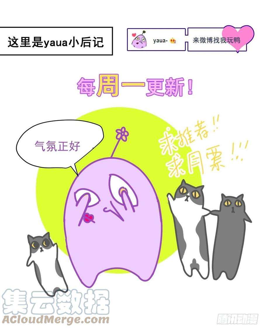 黑背信天翁40.很可爱