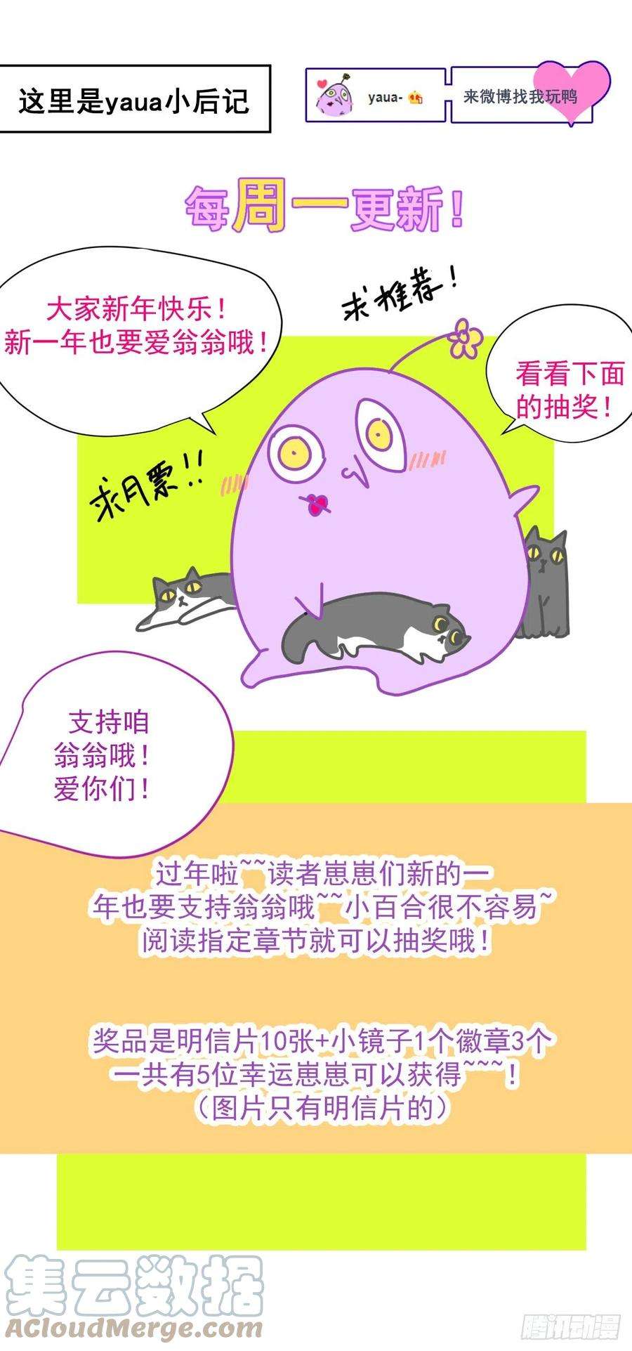 黑背信天翁41.我是真的心疼她啊