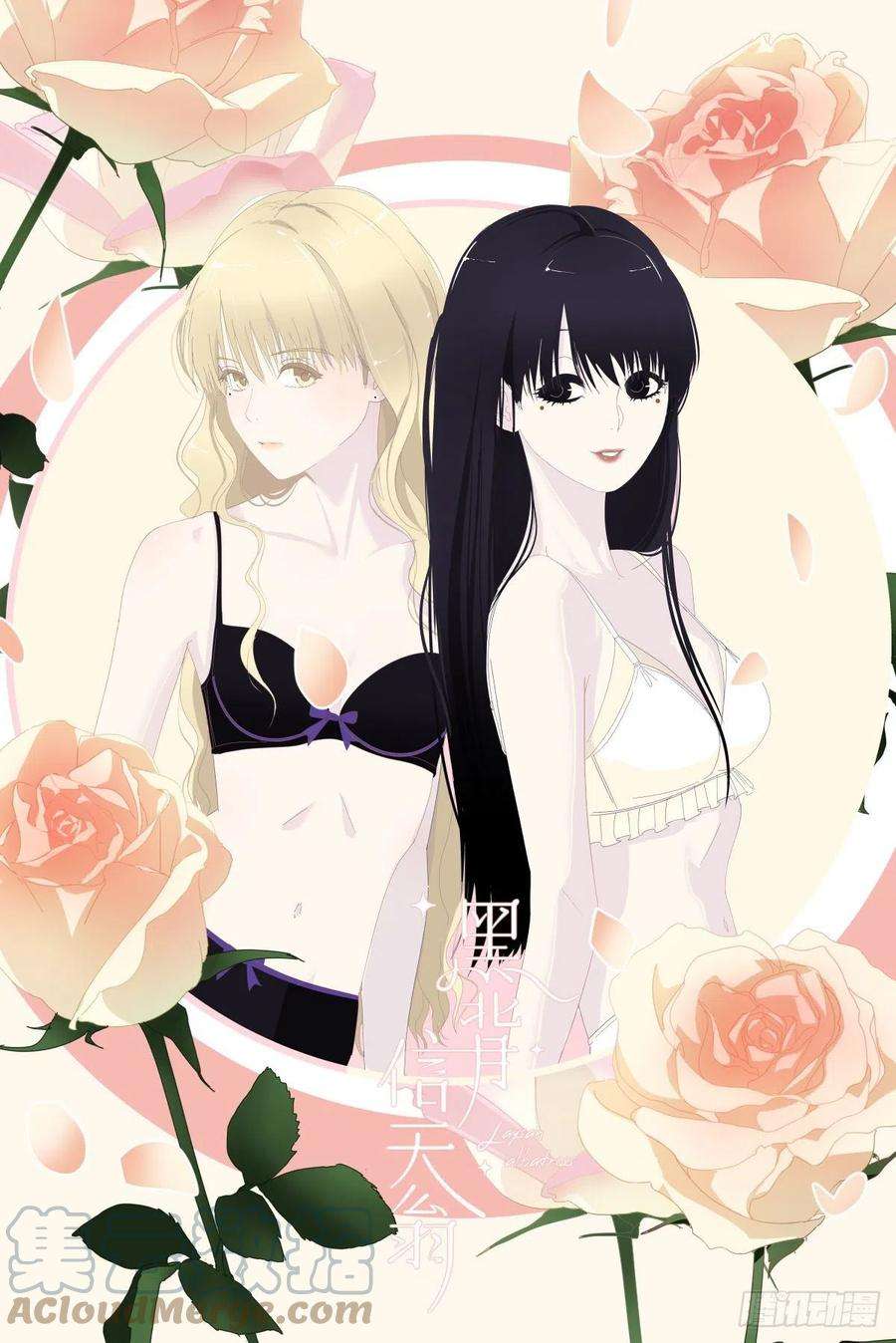 黑背信天翁43.不需要抱歉