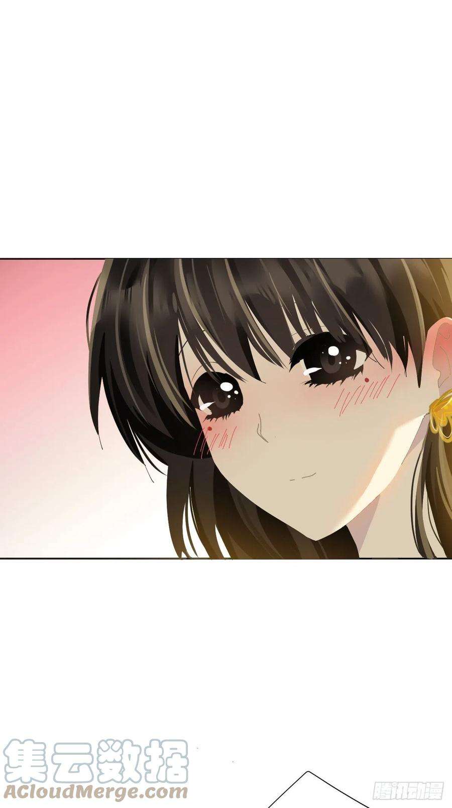 黑背信天翁43.不需要抱歉