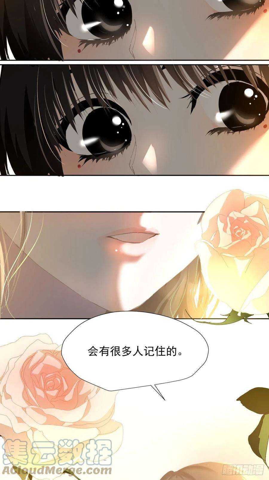 黑背信天翁45.会有很多人记住的