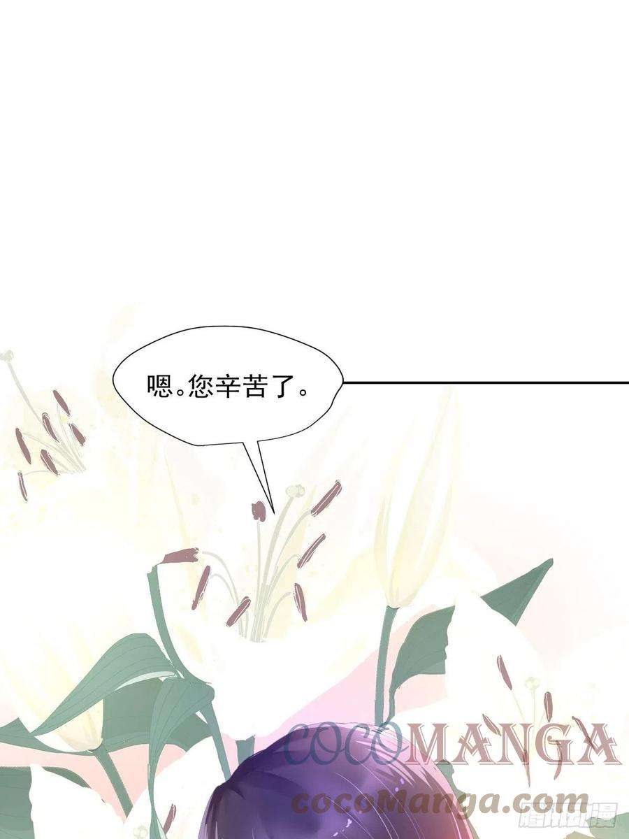 黑背信天翁46.我决定了