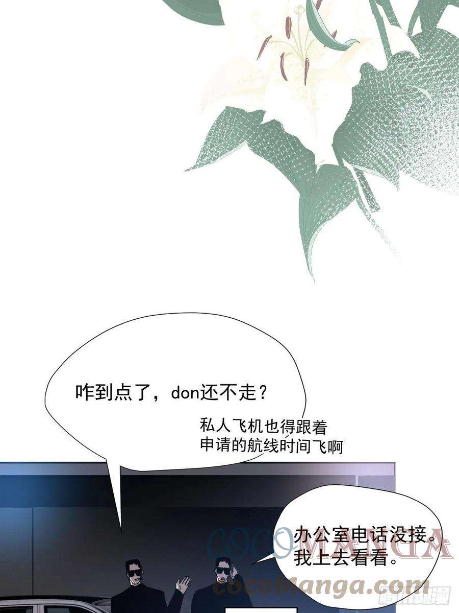 黑背信天翁46.我决定了