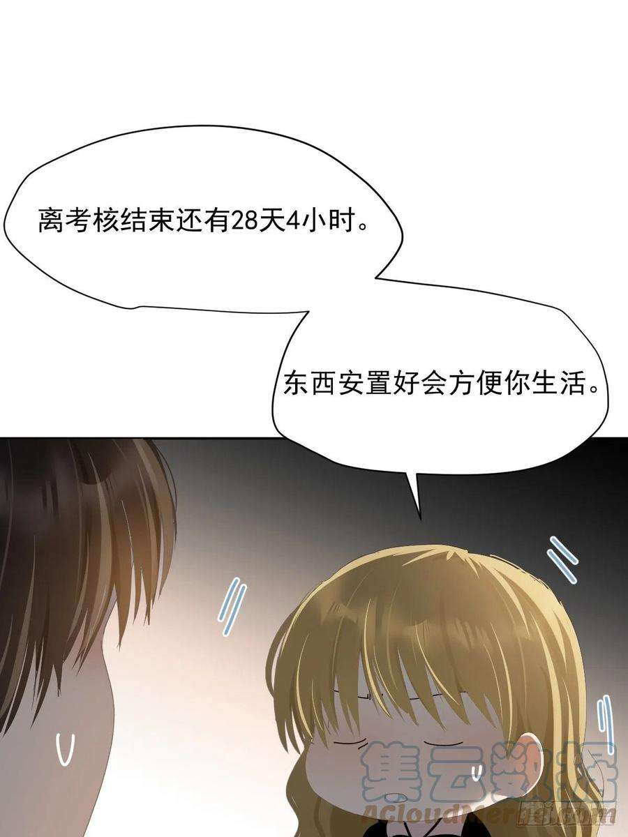 黑背信天翁39随你布置