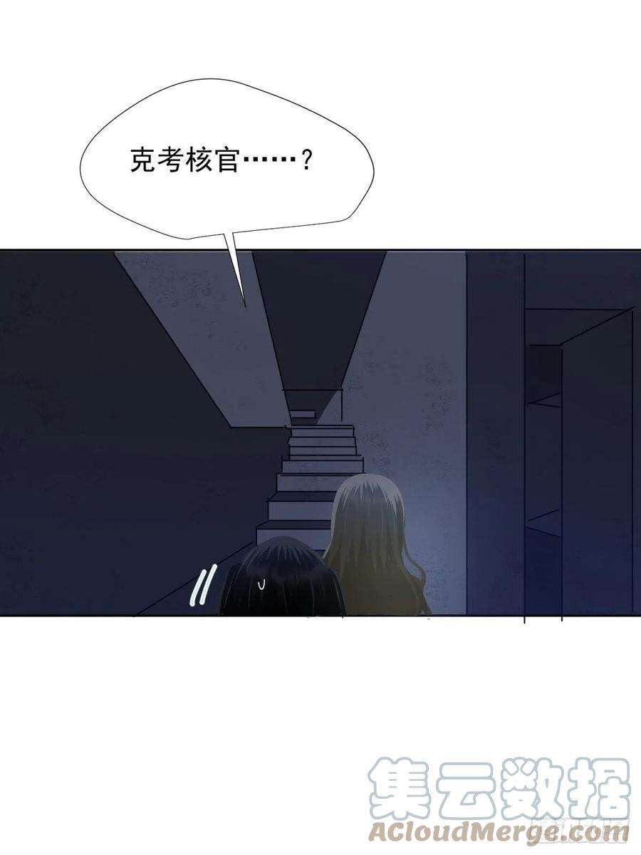 黑背信天翁39随你布置