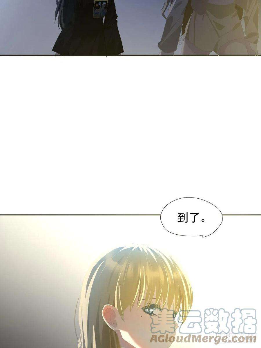 黑背信天翁39随你布置