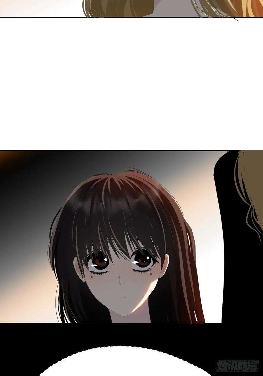 黑背信天翁39随你布置