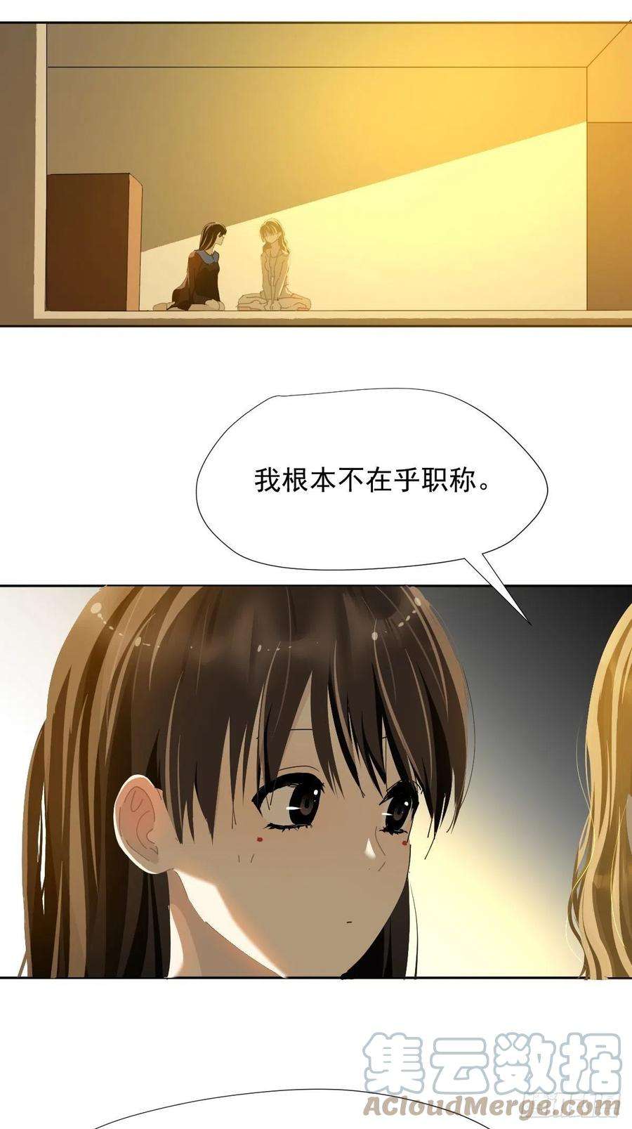 黑背信天翁40很可爱