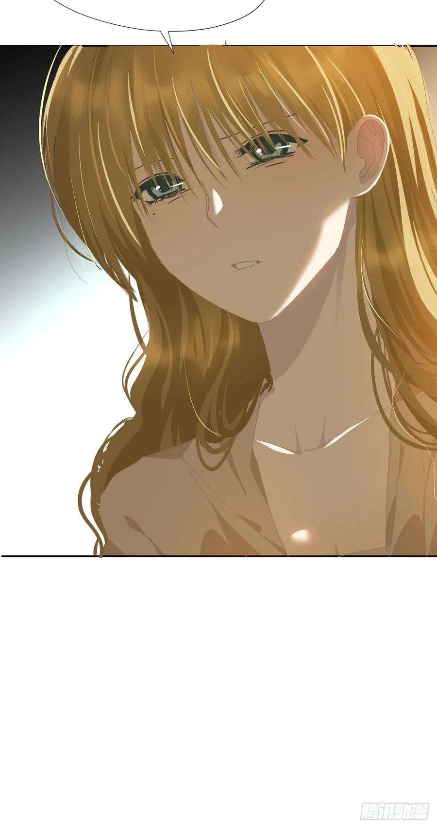 黑背信天翁40很可爱