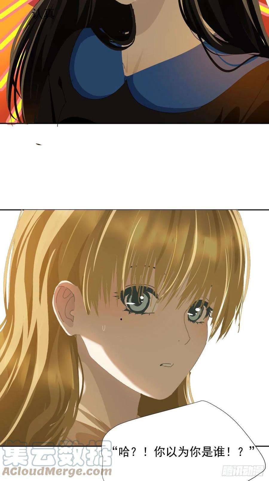 黑背信天翁40很可爱