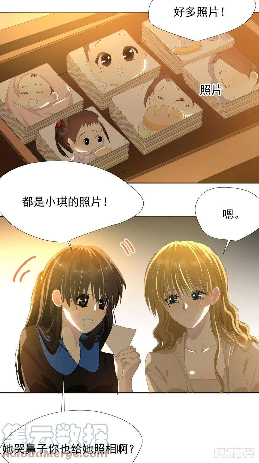 黑背信天翁40很可爱