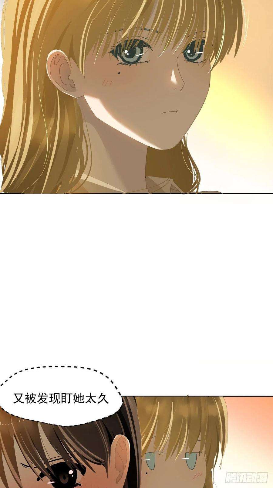 黑背信天翁40很可爱