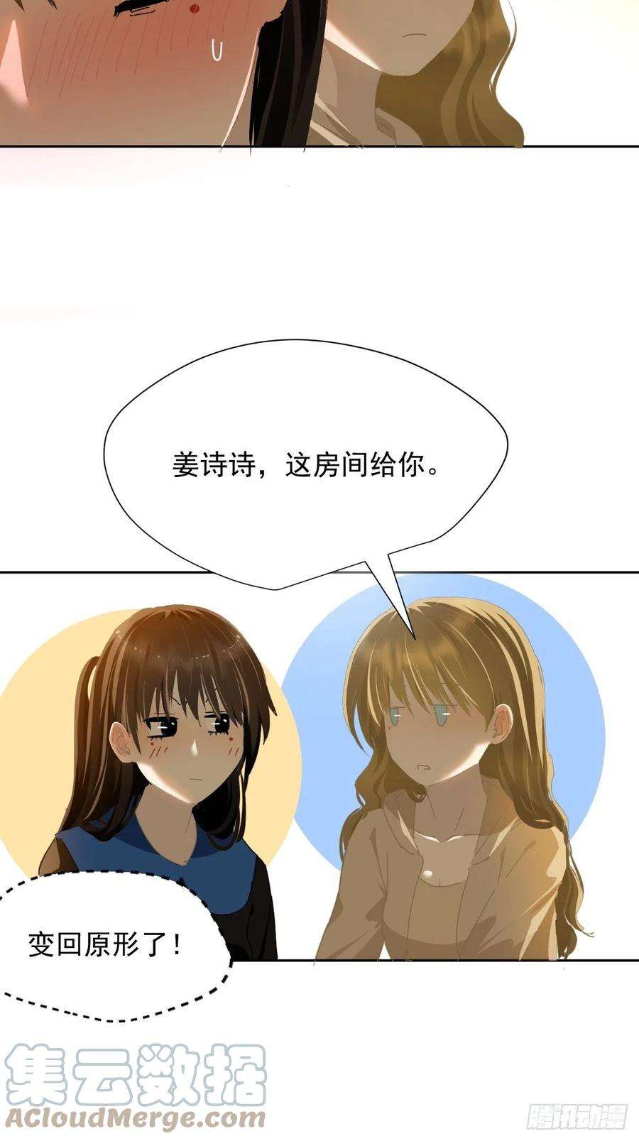 黑背信天翁40很可爱