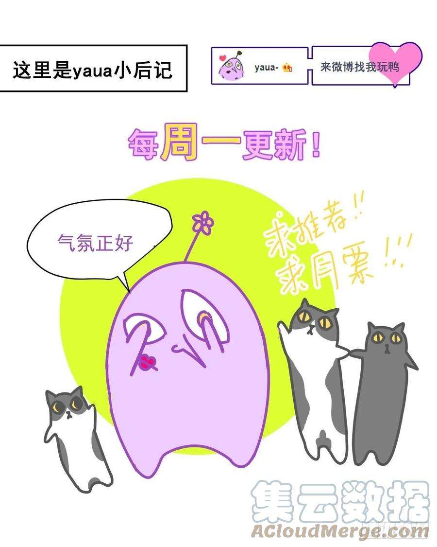 黑背信天翁40很可爱