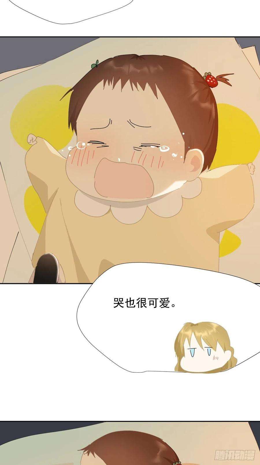 黑背信天翁40很可爱