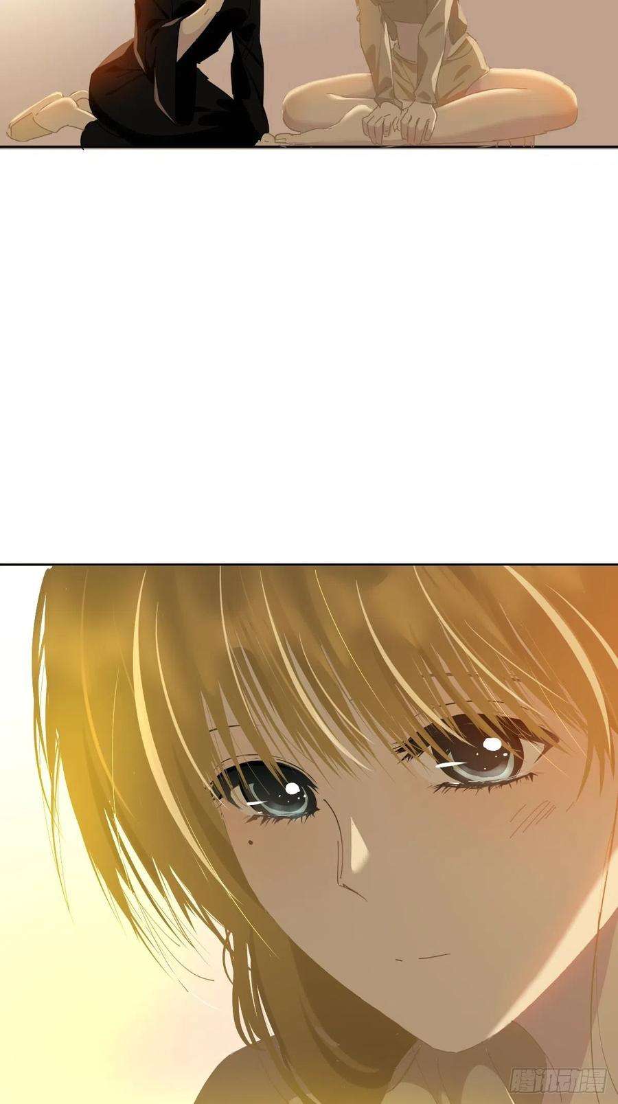 黑背信天翁40很可爱