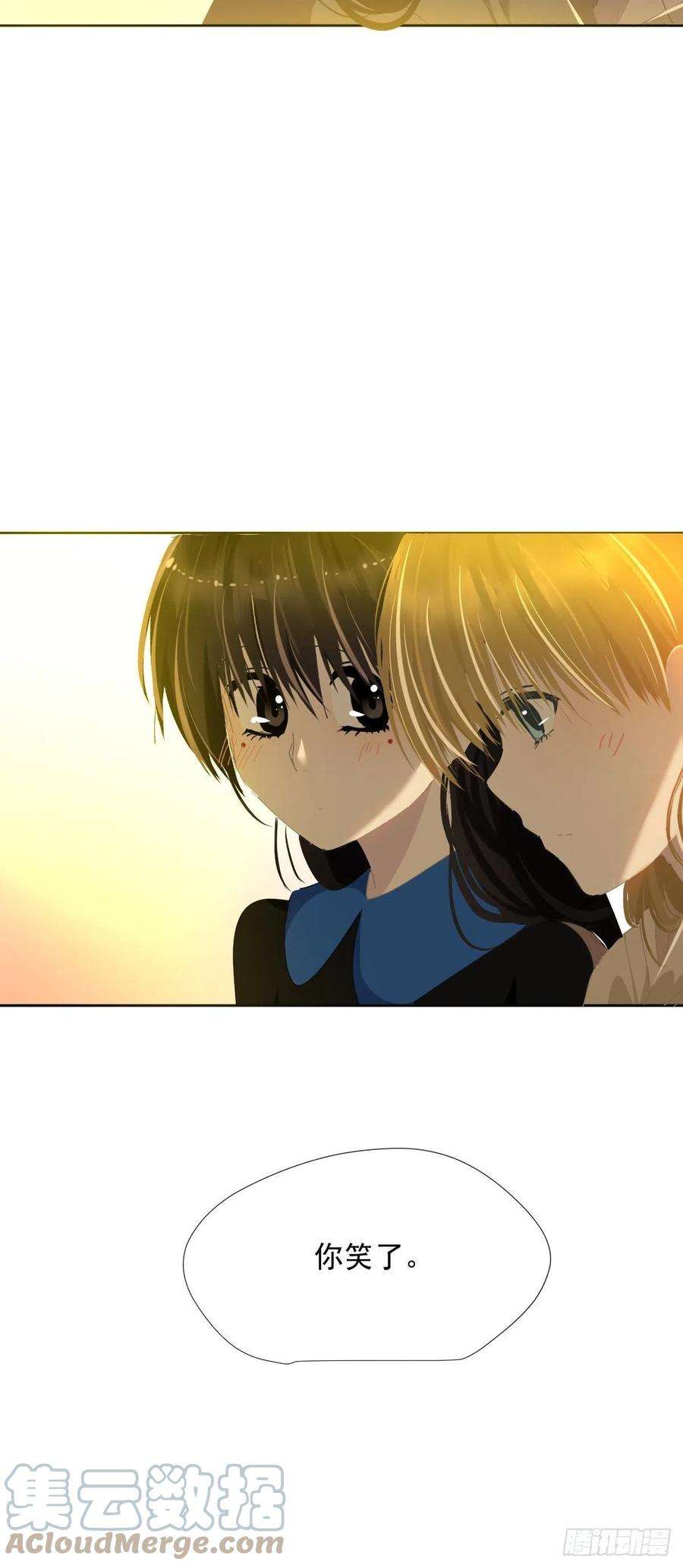 黑背信天翁40很可爱