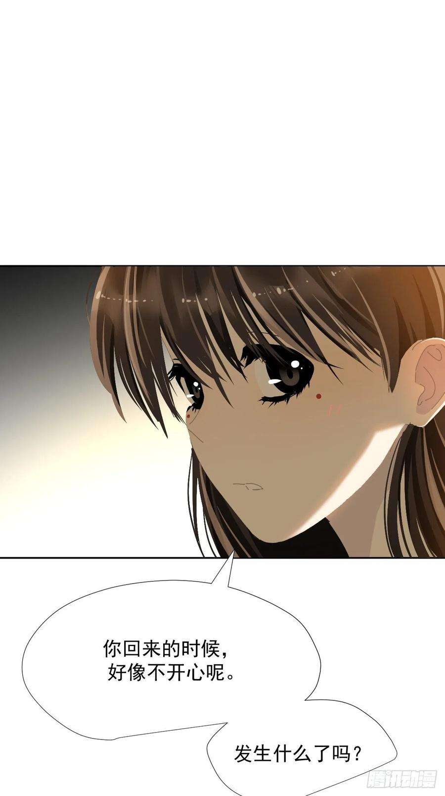 黑背信天翁40很可爱