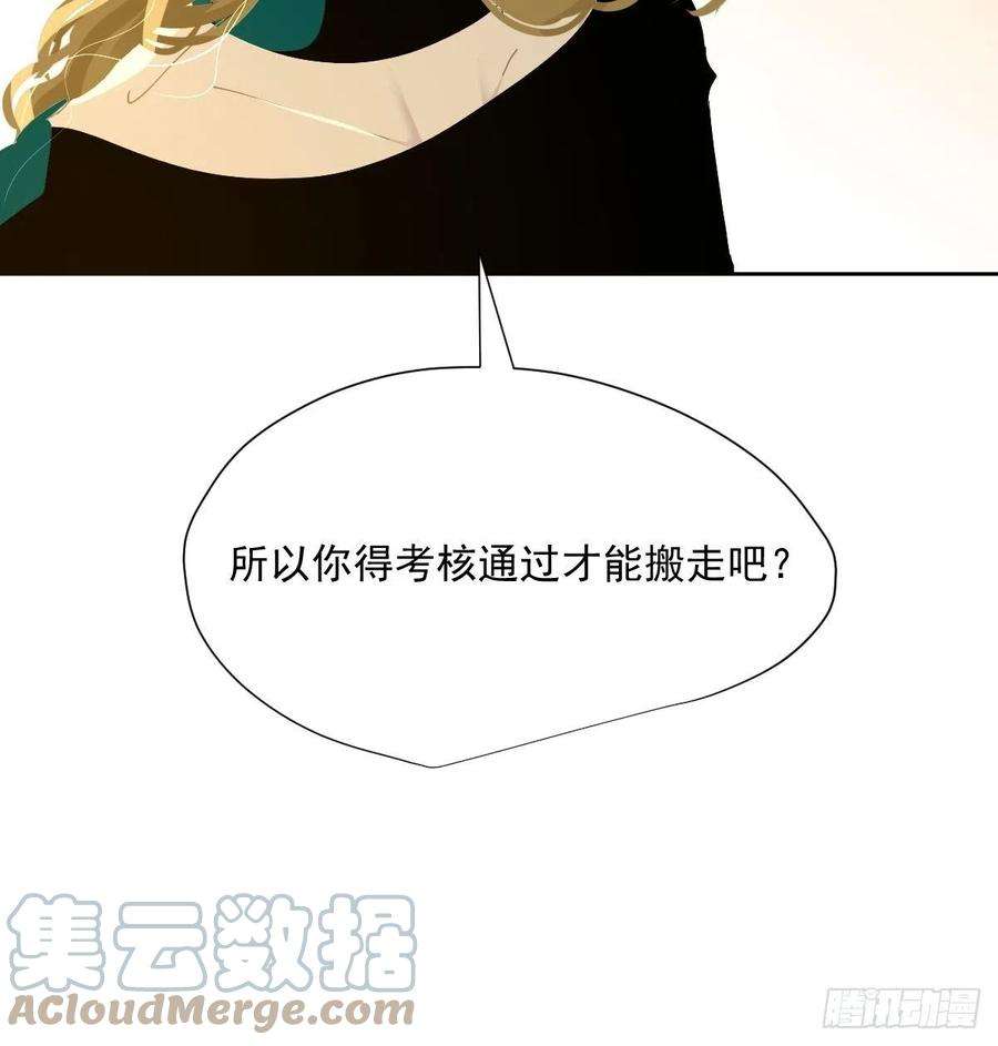 黑背信天翁43不需要抱歉