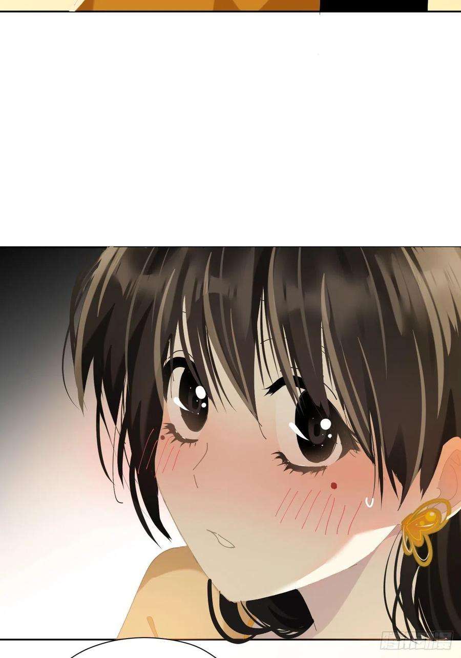 黑背信天翁43不需要抱歉