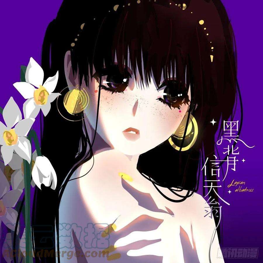 黑背信天翁44老师都在