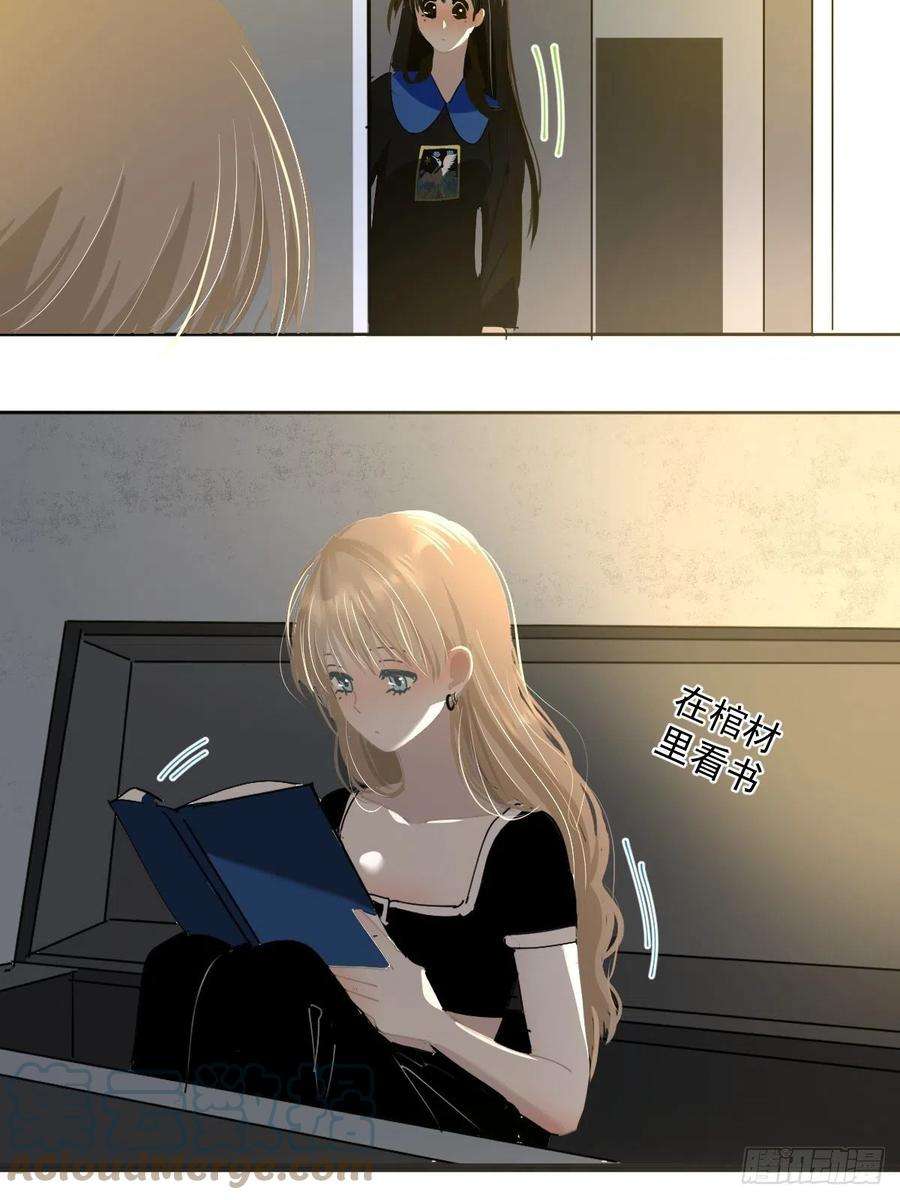 黑背信天翁48.是只小蚊子！