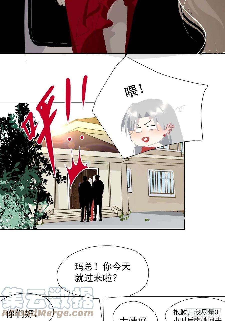 黑背信天翁48.是只小蚊子！