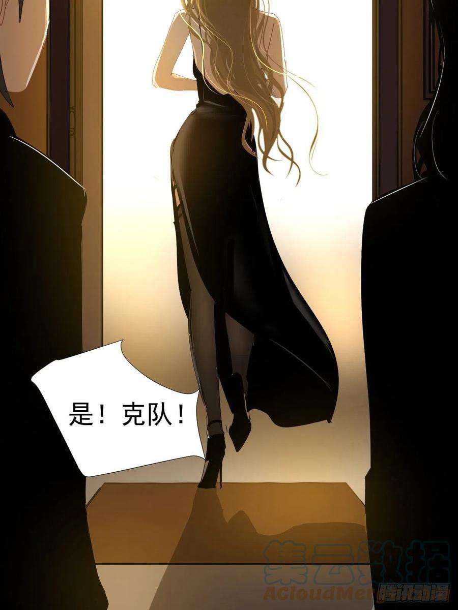 黑背信天翁14.各部门做好准备