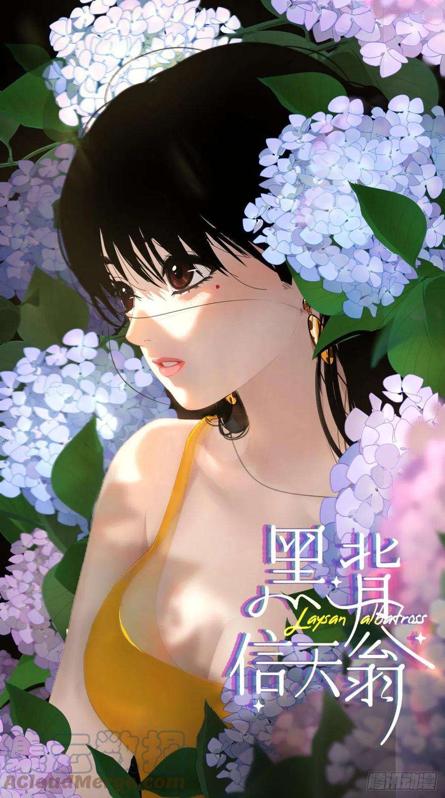 黑背信天翁17.我想它告诉我什么叫做活着