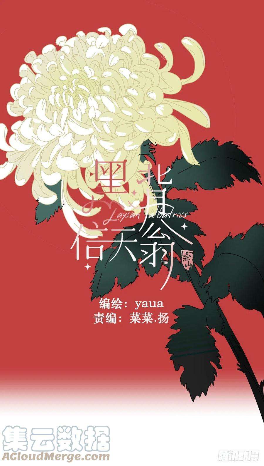 黑背信天翁27.很正常的哦