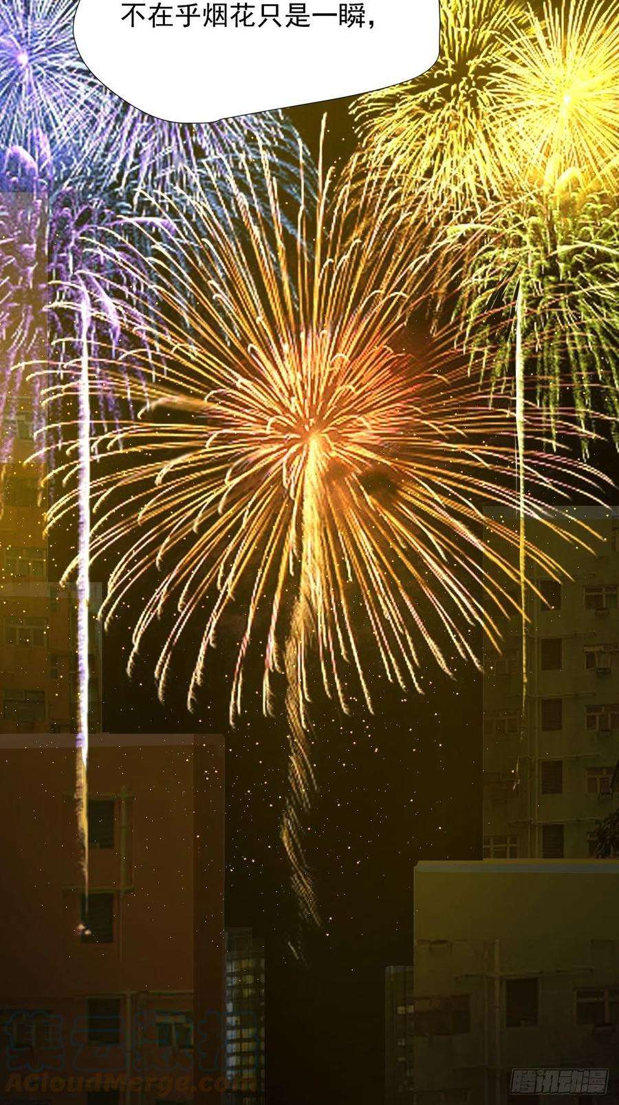 黑背信天翁28.你喜欢看烟花吗