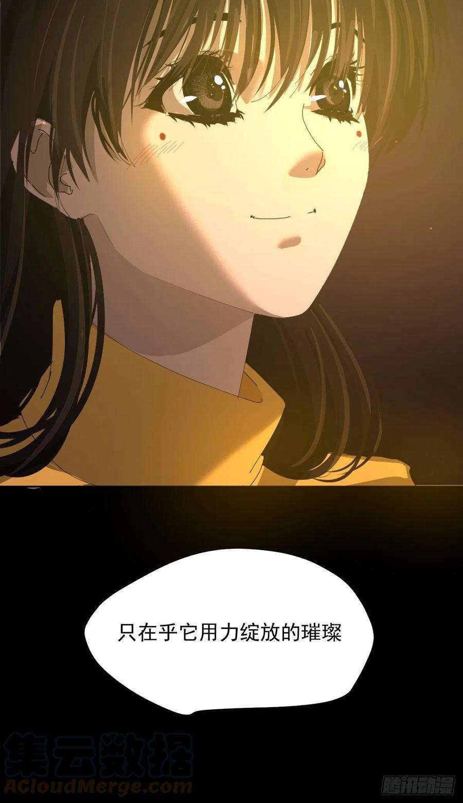 黑背信天翁28.你喜欢看烟花吗
