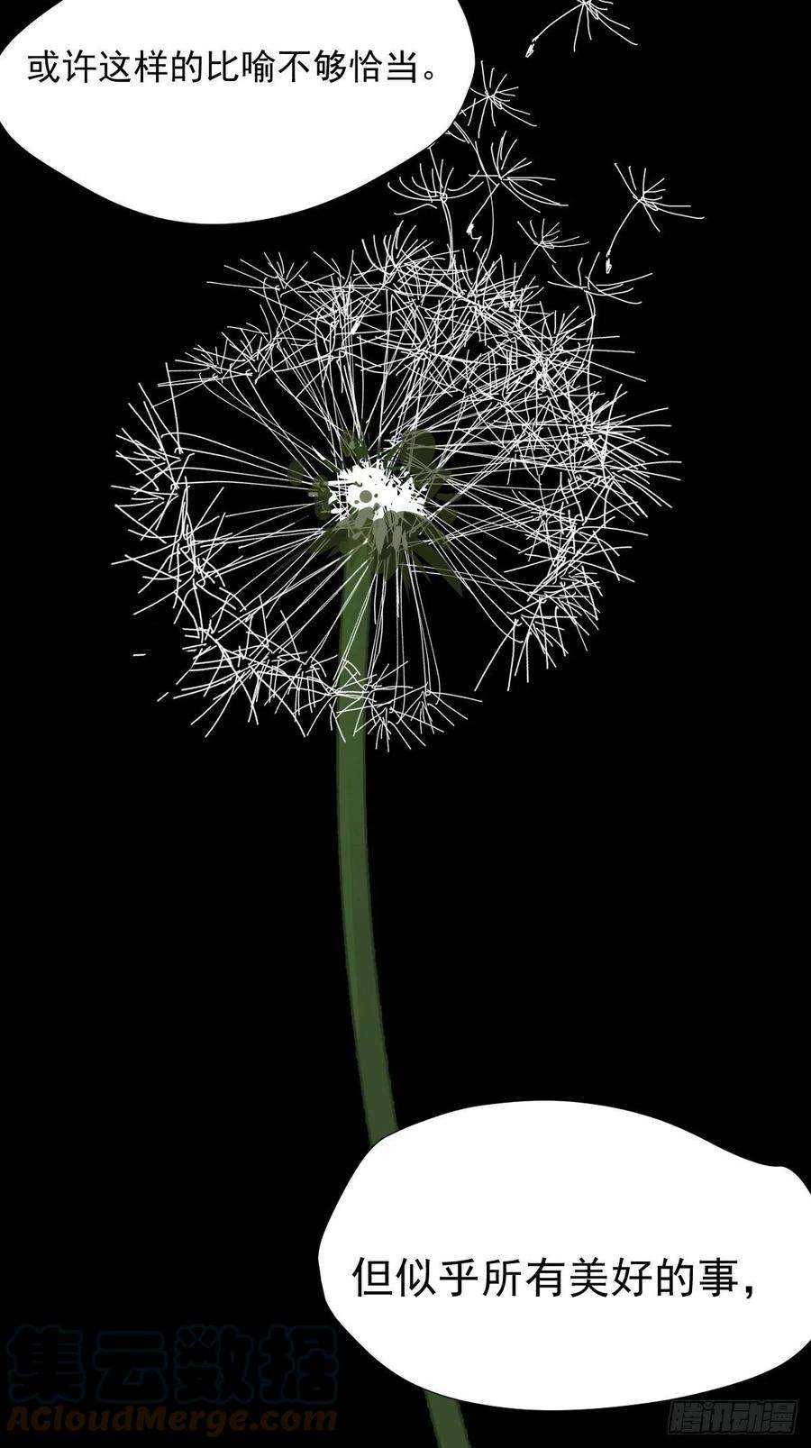 黑背信天翁28.你喜欢看烟花吗