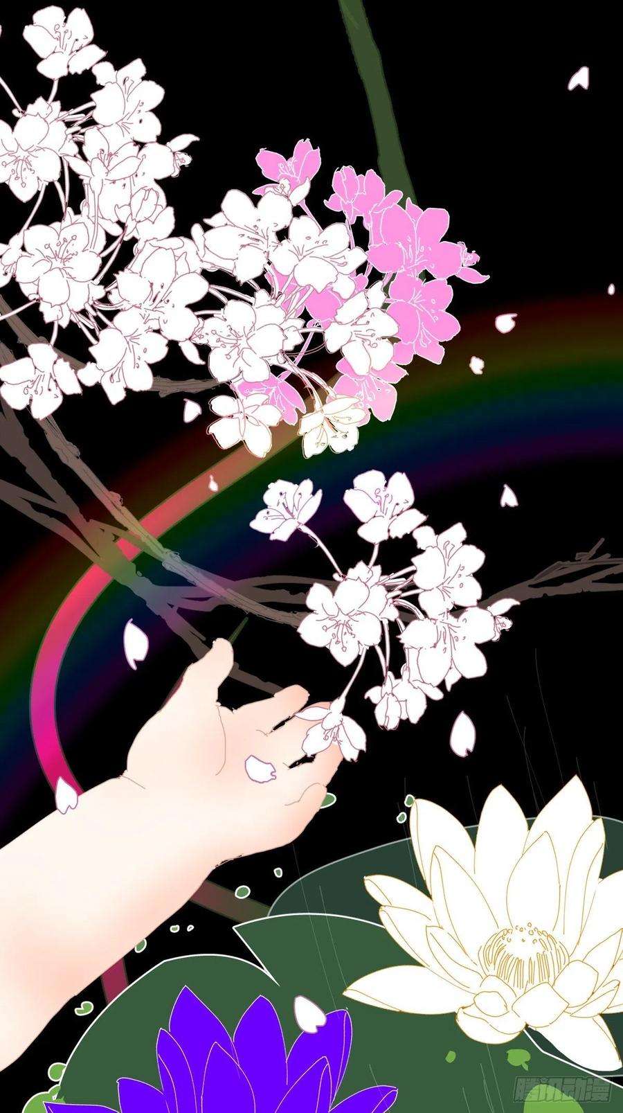 黑背信天翁28.你喜欢看烟花吗